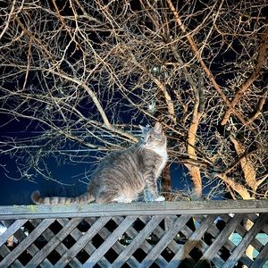 Meet your Posher, Natalia